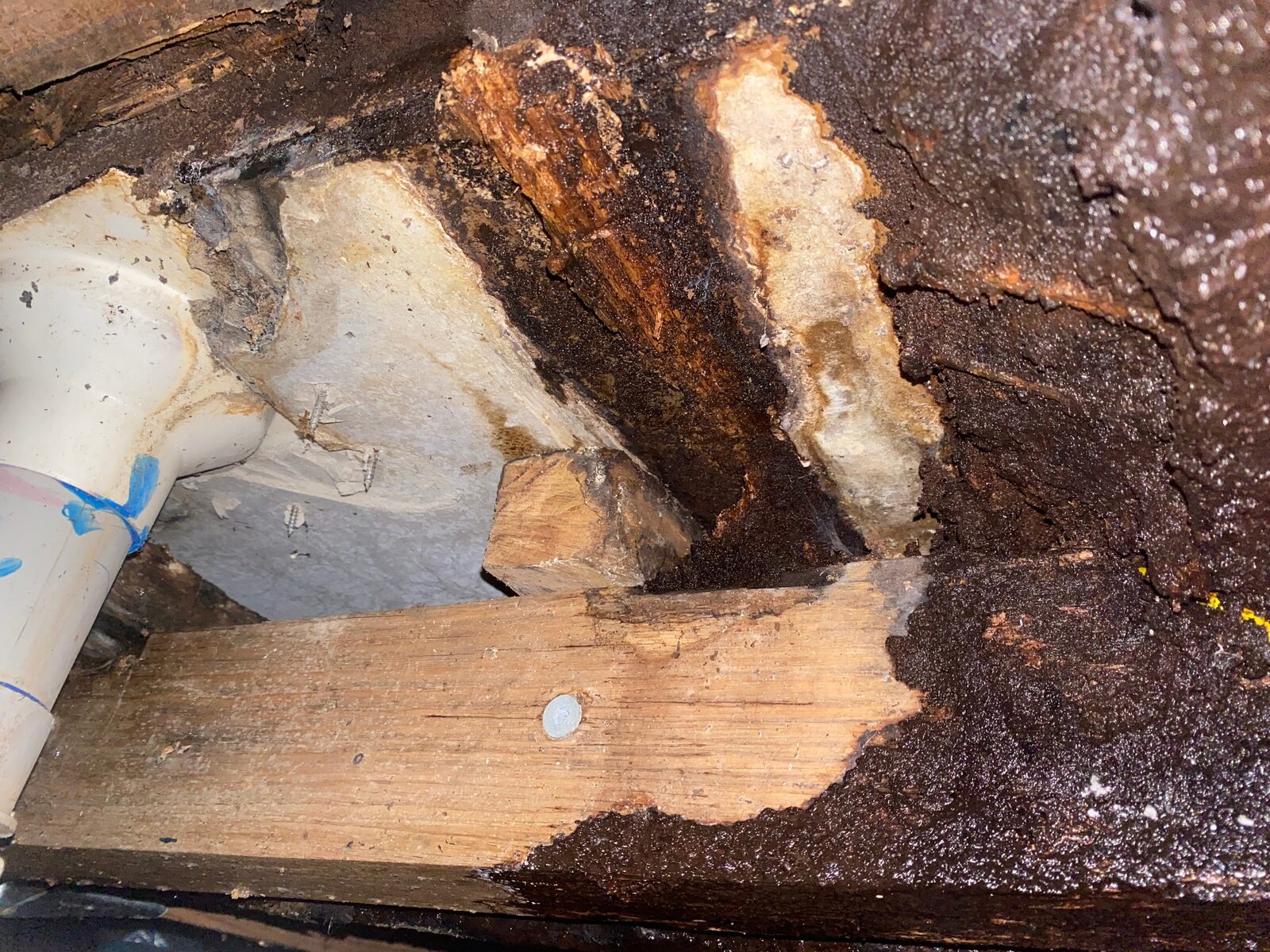 Close view of dark, broken-down timber and pale residue on framing directly beside a white plastic pipe.