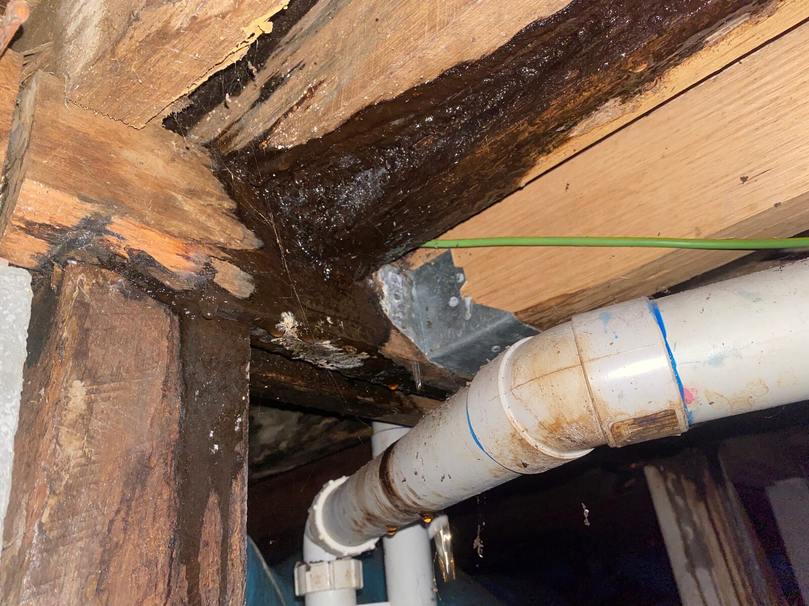 Timber framing with dark staining across a bearer, a metal bracket, a green cable and stained white pipework running beneath.