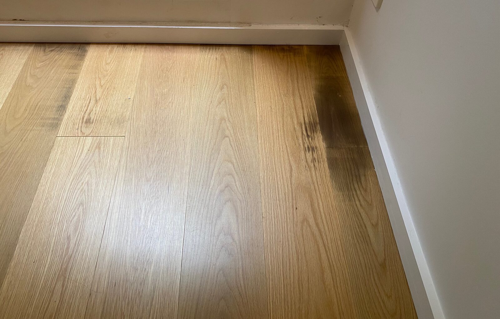 Timber flooring meeting a white skirting board, with dark staining concentrated in the boards nearest an external door.